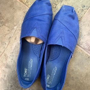 Blue Toms shoes